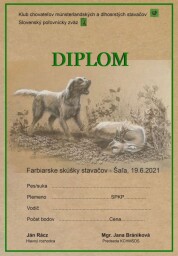 Grafický a výtvarný návrh na Diplom
